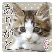 ヒメ日記 2026/02/01 17:37 投稿 にじか 熟女家 堺東店