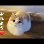 ヒメ日記 2026/02/12 07:57 投稿 にじか 熟女家 堺東店