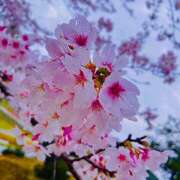 ヒメ日記 2025/04/25 04:26 投稿 ありさ★絶世の美女降臨 BEPPIN SELECTION ～べっぴんセレクション～