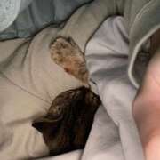 ヒメ日記 2025/05/26 03:50 投稿 ありさ★絶世の美女降臨 BEPPIN SELECTION ～べっぴんセレクション～