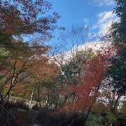 ヒメ日記 2025/07/06 05:31 投稿 ありさ★絶世の美女降臨 BEPPIN SELECTION ～べっぴんセレクション～