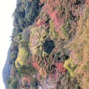 ヒメ日記 2025/08/11 05:05 投稿 ありさ★絶世の美女降臨 BEPPIN SELECTION ～べっぴんセレクション～