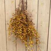 ヒメ日記 2025/10/05 05:31 投稿 ありさ★絶世の美女降臨 BEPPIN SELECTION ～べっぴんセレクション～