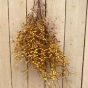 ヒメ日記 2025/11/02 06:20 投稿 ありさ★絶世の美女降臨 BEPPIN SELECTION ～べっぴんセレクション～