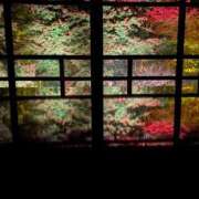 ヒメ日記 2025/11/03 02:58 投稿 ありさ★絶世の美女降臨 BEPPIN SELECTION ～べっぴんセレクション～