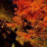 ありさ★絶世の美女降臨 お仕事納め BEPPIN SELECTION ～べっぴんセレクション～