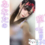 ヒメ日記 2025/08/26 02:49 投稿 れい★女神・癒しのエンジェル BEPPIN SELECTION 京都 ～べっぴんセレクション～