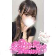 ヒメ日記 2026/05/01 20:55 投稿 れい★女神・癒しのエンジェル BEPPIN SELECTION 京都 ～べっぴんセレクション～