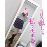 ヒメ日記 2026/06/08 06:00 投稿 れい★女神・癒しのエンジェル BEPPIN SELECTION 京都 ～べっぴんセレクション～