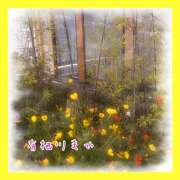 ヒメ日記 2025/08/23 09:04 投稿 有栖川まや Matriarch(マトリアルカ)