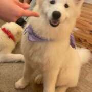 ヒメ日記 2025/04/24 16:33 投稿 ソララ リッチドールなんば店