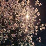 ヒメ日記 2025/06/12 19:16 投稿 ソララ リッチドールなんば店