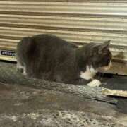 ヒメ日記 2025/10/14 18:06 投稿 ソララ リッチドールなんば店