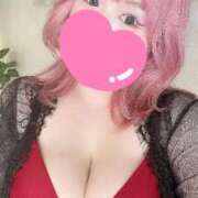 ヒメ日記 2025/12/06 13:44 投稿 なぎ 桃李（とうり）