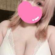 ヒメ日記 2025/12/29 15:46 投稿 なぎ 桃李（とうり）