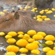 ヒメ日記 2024/12/12 16:10 投稿 儀間　ゆりか ギン妻パラダイス 谷九店
