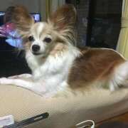 ヒメ日記 2024/12/15 12:22 投稿 儀間　ゆりか ギン妻パラダイス 谷九店