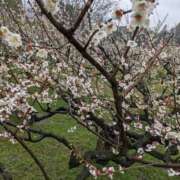 ヒメ日記 2025/03/11 15:25 投稿 儀間　ゆりか ギン妻パラダイス 谷九店