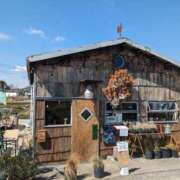 ヒメ日記 2025/03/22 17:05 投稿 儀間　ゆりか ギン妻パラダイス 谷九店