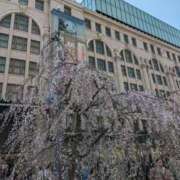 ヒメ日記 2025/03/24 03:34 投稿 儀間　ゆりか ギン妻パラダイス 谷九店