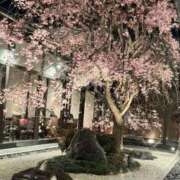 ヒメ日記 2025/04/07 14:18 投稿 儀間　ゆりか ギン妻パラダイス 谷九店