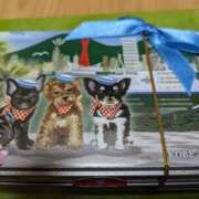 ヒメ日記 2025/07/16 16:08 投稿 儀間　ゆりか ギン妻パラダイス 谷九店