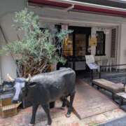 ヒメ日記 2025/11/28 15:35 投稿 儀間　ゆりか ギン妻パラダイス 谷九店