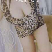 ヒメ日記 2025/08/19 20:46 投稿 川嶋 ルイ Prae(プラエ)