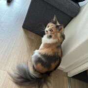 ヒメ日記 2025/05/12 12:08 投稿 みのり 人妻美人館