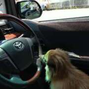 ヒメ日記 2025/05/29 09:00 投稿 みのり 人妻美人館