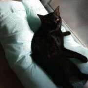 ヒメ日記 2025/07/10 16:18 投稿 みのり 人妻美人館