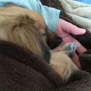 ヒメ日記 2025/07/11 17:35 投稿 みのり 人妻美人館