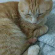 ヒメ日記 2025/07/31 17:20 投稿 みのり 人妻美人館