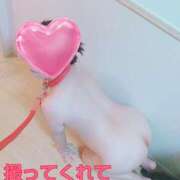 ヒメ日記 2025/10/19 06:07 投稿 みのり 人妻美人館