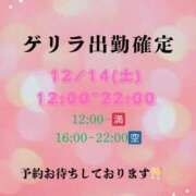 ヒメ日記 2024/12/13 21:05 投稿 つばき 華美人