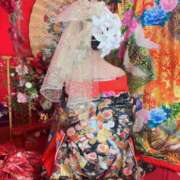 ヒメ日記 2025/01/03 11:57 投稿 つばき 華美人