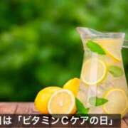 ヒメ日記 2025/02/04 08:05 投稿 つばき 華美人