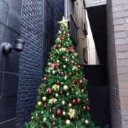 ヒメ日記 2024/12/20 08:25 投稿 相馬 鶯谷ワンハート