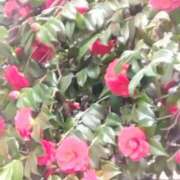 ヒメ日記 2025/01/09 08:17 投稿 相馬 鶯谷ワンハート