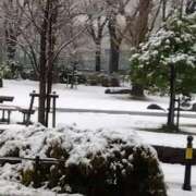 ヒメ日記 2025/01/11 08:26 投稿 相馬 鶯谷ワンハート