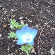 ヒメ日記 2025/01/15 08:20 投稿 相馬 鶯谷ワンハート