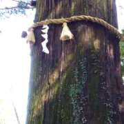 ヒメ日記 2025/01/17 08:07 投稿 相馬 鶯谷ワンハート