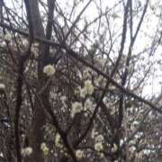 ヒメ日記 2025/02/05 08:02 投稿 相馬 鶯谷ワンハート