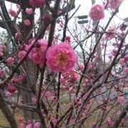 ヒメ日記 2025/02/07 08:19 投稿 相馬 鶯谷ワンハート