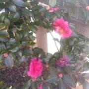 ヒメ日記 2025/02/28 08:16 投稿 相馬 鶯谷ワンハート