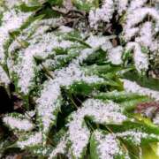 ヒメ日記 2025/03/06 08:12 投稿 相馬 鶯谷ワンハート