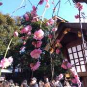 ヒメ日記 2025/03/13 08:16 投稿 相馬 鶯谷ワンハート