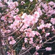 ヒメ日記 2025/03/28 08:19 投稿 相馬 鶯谷ワンハート