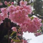 ヒメ日記 2025/04/19 08:47 投稿 相馬 鶯谷ワンハート