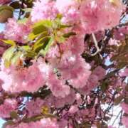 ヒメ日記 2025/04/25 08:21 投稿 相馬 鶯谷ワンハート